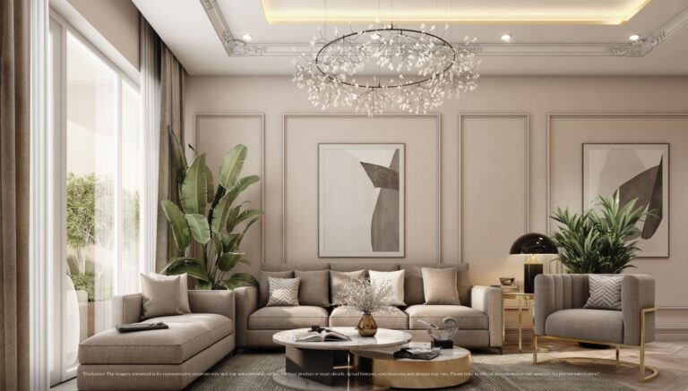 IVORY COUNTY gallery3