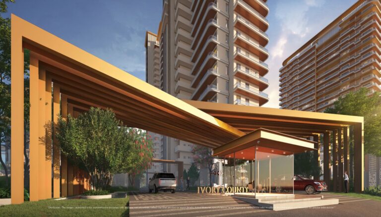 IVORY COUNTY gallery6